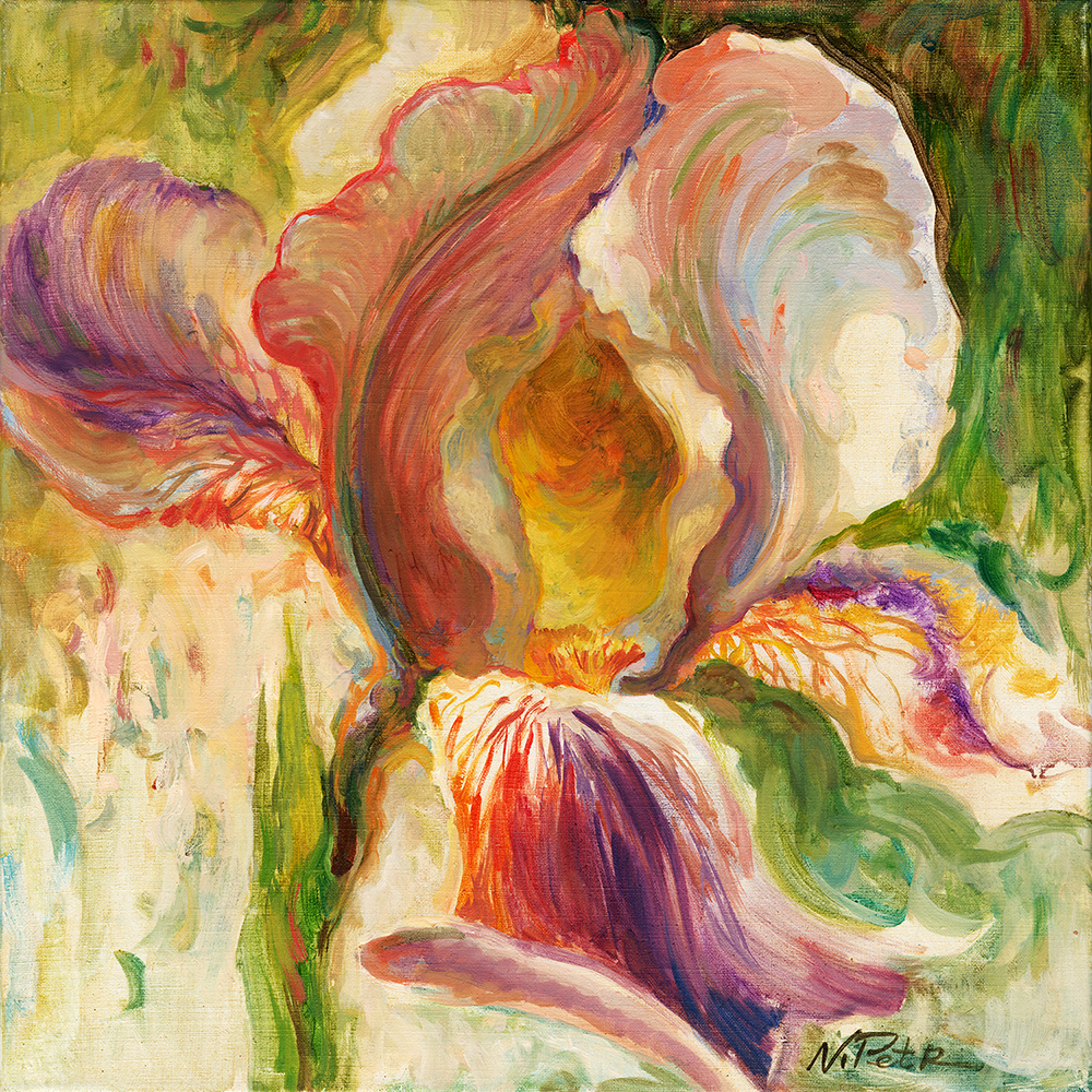«Spring iris», 14×14 inches (35×35 cm), oil on linen, 2018.