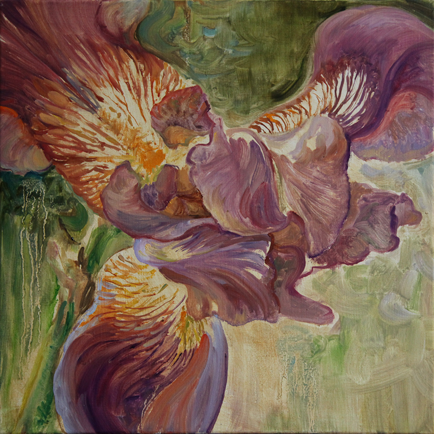 Iris in June, 14×14 inches (35×35 cm), oil on linen, 2018.