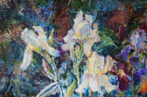 «Pearly irises», oil, canvas, 50×80 cm.
